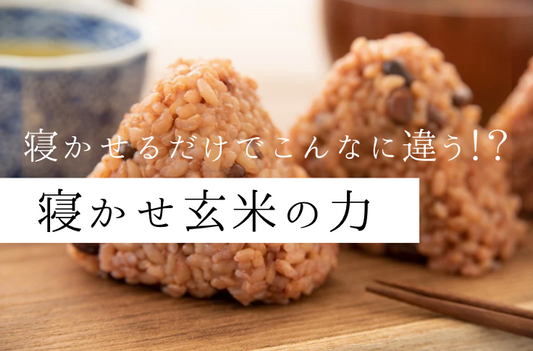寝かせるだけでこんなに違う!?寝かせ玄米の驚きの力