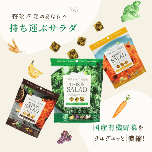 【国産有機野菜スナック】THIS IS SALAD 持ち運びサラダシリーズ