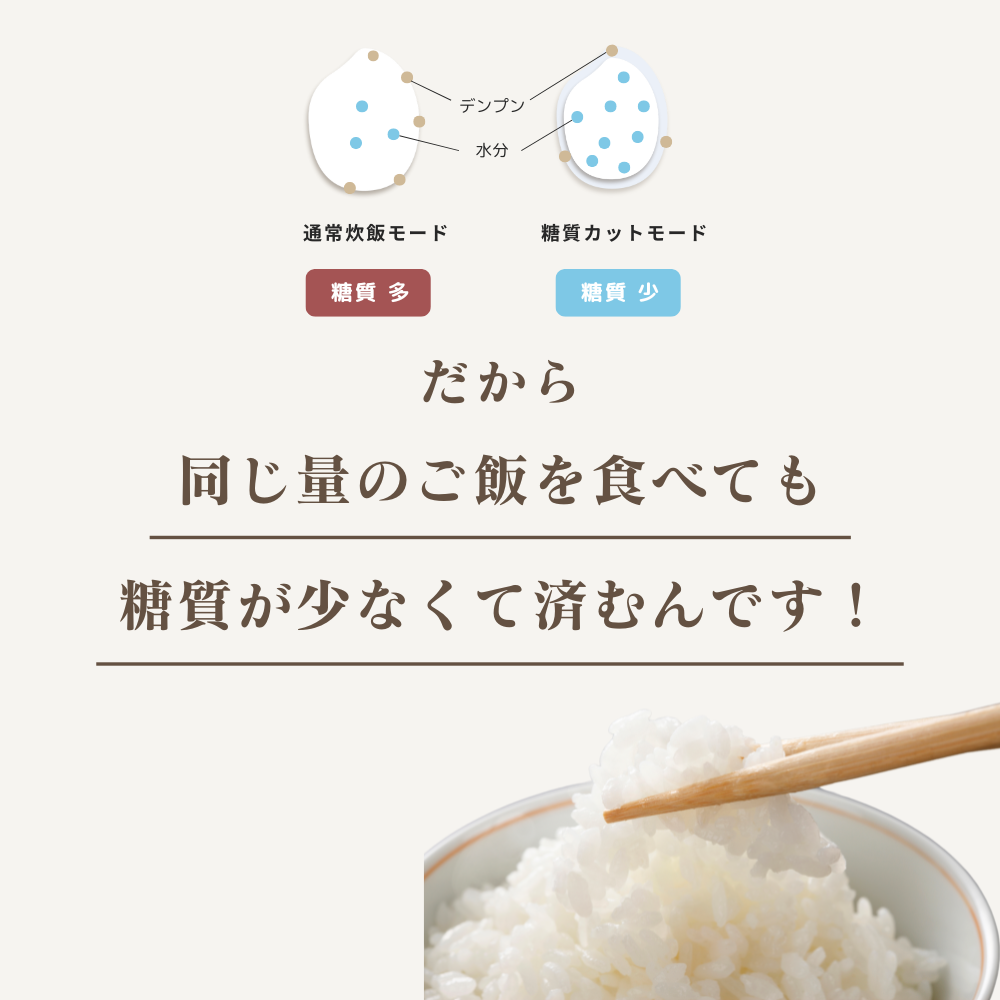 【糖質カット炊飯器】LOCABO