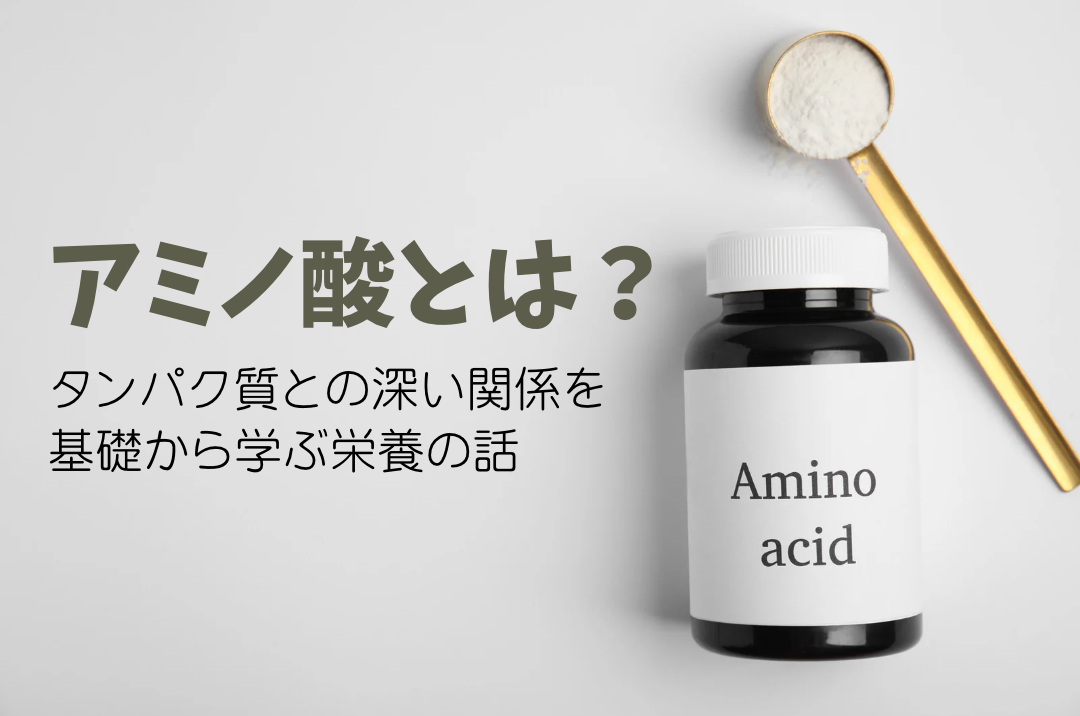 アミノ酸とは？タンパク質との深い関係を基礎から学ぶ栄養の話