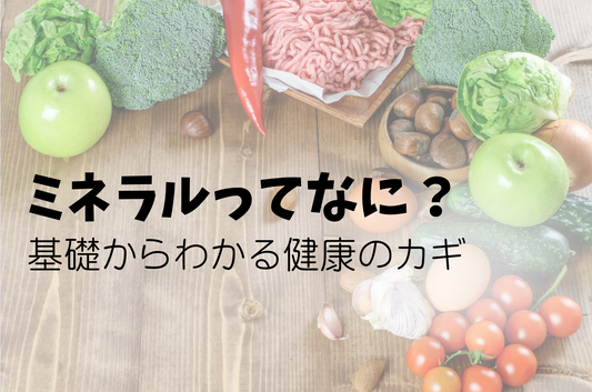 ミネラルってなに？基礎からわかる健康のカギ🔑