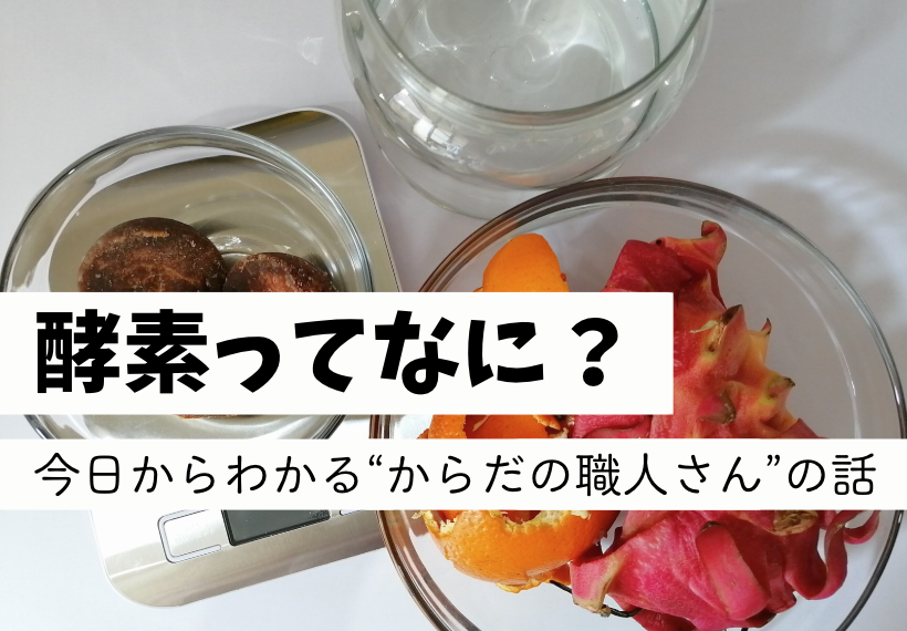 酵素ってなに？🤔✨ 今日からわかる“からだの職人さん”の話