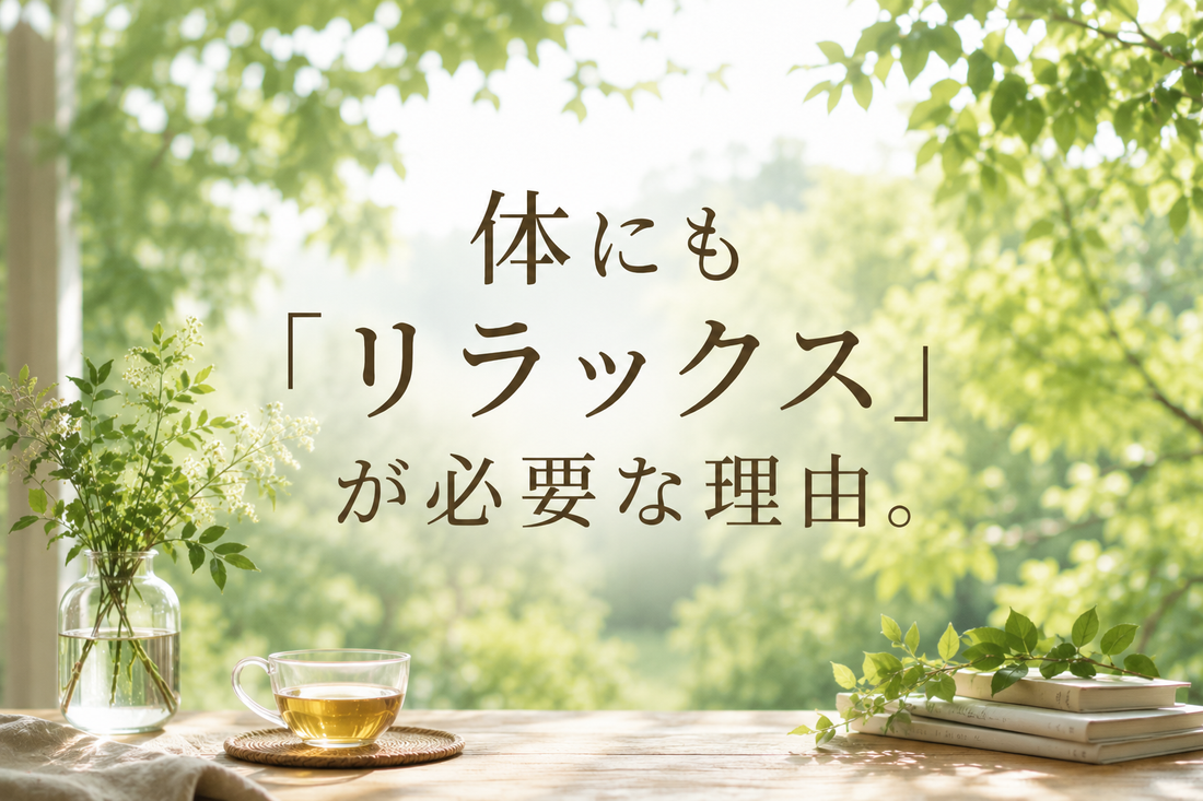 体にも「リラックス」が必要な理由🌿