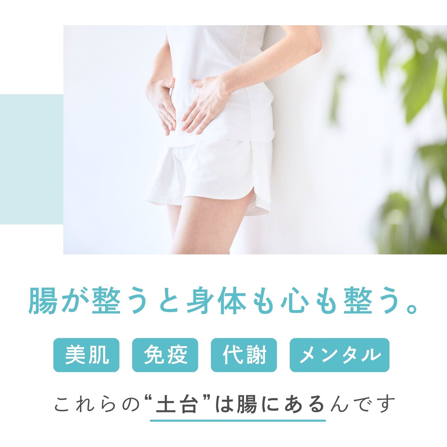 【添加物不使用】美活発酵酵素 Fem Bloomia Paste