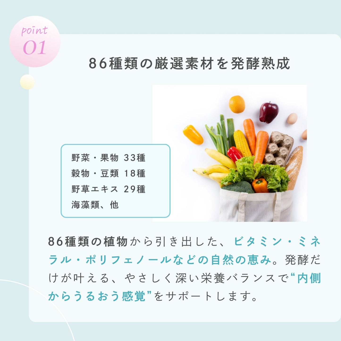 【添加物不使用】美活発酵酵素 Fem Bloomia Paste