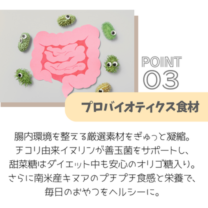 【グルテンフリー】プロテインクッキー proco