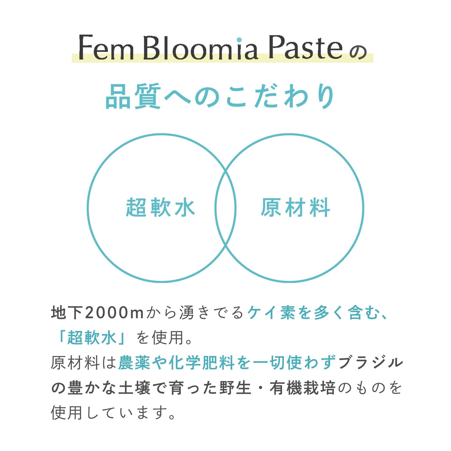 【添加物不使用】美活発酵酵素 Fem Bloomia Paste